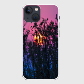 Чехол для iPhone 13 mini с принтом Трава растения закатный свет в Белгороде,  |  | вечер | закат | мило | небо | поле | рассвет | растения | свет | сумерки | сухоцвет