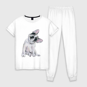 Женская пижама хлопок с принтом бульдог в Белгороде, 100% хлопок | брюки и футболка прямого кроя, без карманов, на брюках мягкая резинка на поясе и по низу штанин | бульдог | животные | песокафе | рисунок | собаки