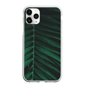 Чехол для iPhone 11 Pro Max матовый с принтом Ветка палмы в Белгороде, Силикон |  | ветка | листья | нуар | пальма | папоротник | природа | экзотика