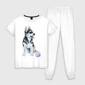 Женская пижама хлопок с принтом Хаски в Белгороде, 100% хлопок | брюки и футболка прямого кроя, без карманов, на брюках мягкая резинка на поясе и по низу штанин | животные | песокафе | рисунок | собаки | хаски