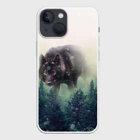 Чехол для iPhone 13 mini с принтом Волк в Белгороде,  |  | альфа | амега | волк | волчонок | дым | зверь | зелёная | зима | красивая | лайка | лес | лесс | омега | пёс | подарок | прикольная | сибирь | сказка | собака | сосны | тайга | фильм | хаски | щенок
