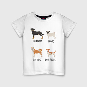 Детская футболка хлопок с принтом ротвейлер мопс акита джек в Белгороде, 100% хлопок | круглый вырез горловины, полуприлегающий силуэт, длина до линии бедер | акита ину | джек рассел | мопс | песокафе | ротвейлер | собаки