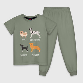 Детская пижама хлопок с принтом шпиц ретривер белый в Белгороде, 100% хлопок |  брюки и футболка прямого кроя, без карманов, на брюках мягкая резинка на поясе и по низу штанин
 | Тематика изображения на принте: далматинец | песокафе | ретривер | собаки | чихуахуа | шпиц