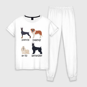 Женская пижама хлопок с принтом доберман ши-тцу в Белгороде, 100% хлопок | брюки и футболка прямого кроя, без карманов, на брюках мягкая резинка на поясе и по низу штанин | доберман | песокафе | сенбернар | собаки | ши тцу