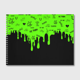 Альбом для рисования с принтом Lil Peep в Белгороде, 100% бумага
 | матовая бумага, плотность 200 мг. | benz truck | emo rap | gbc | gustav elijah ahr | hip hop | lil | lil peep | lil tracy | lilpeep | peep | rap | rip | густав элайджа | лил пип
