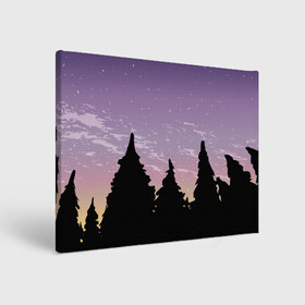 Холст прямоугольный с принтом Лес под ночным небом в Белгороде, 100% ПВХ |  | вечер | градиент | закат | звездное небо | звезды | лес | небо | очертание | очертание леса | сумерки | тайга | фиолетовый | черный