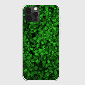 Чехол для iPhone 12 Pro Max с принтом Свежая трава в Белгороде, Силикон |  | Тематика изображения на принте: арт | зелёный | светлый | тёмный | четкий