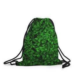 Рюкзак-мешок 3D с принтом Свежая трава в Белгороде, 100% полиэстер | плотность ткани — 200 г/м2, размер — 35 х 45 см; лямки — толстые шнурки, застежка на шнуровке, без карманов и подкладки | арт | зелёный | светлый | тёмный | четкий