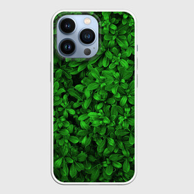 Чехол для iPhone 13 Pro с принтом Свежая трава в Белгороде,  |  | арт | зелёный | светлый | тёмный | четкий