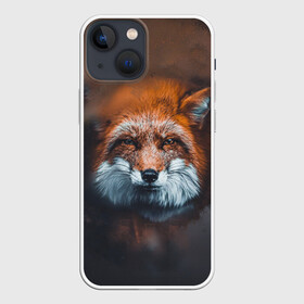 Чехол для iPhone 13 mini с принтом Лиса в Белгороде,  |  | волк | енот | енотик | зверь | зоопарк | колобок | лес | лис | лиса | лисёнок | лисица | лисы | мультик | пёс | писец | сибирь | сказка | собака | тайга