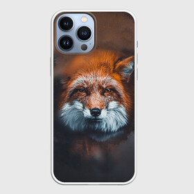 Чехол для iPhone 13 Pro Max с принтом Лиса в Белгороде,  |  | Тематика изображения на принте: волк | енот | енотик | зверь | зоопарк | колобок | лес | лис | лиса | лисёнок | лисица | лисы | мультик | пёс | писец | сибирь | сказка | собака | тайга
