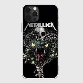 Чехол для iPhone 12 Pro Max с принтом Metallica в Белгороде, Силикон |  | album | black | concert | heavy | kirk | metal | metallica | music | rock | tolls | джеймс хэтфилд | кирк хэмметт | клифф бёртон | ларс ульрих | метал | металлика | трэш
