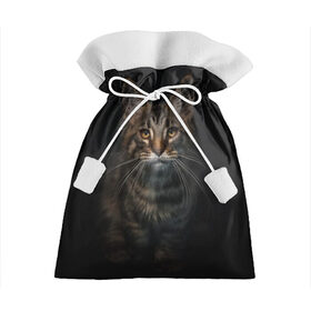 Подарочный 3D мешок с принтом Кот усатый в Белгороде, 100% полиэстер | Размер: 29*39 см | Тематика изображения на принте: cat | кот | котёнок | котик | кошка | мейн кун | полосатый | пушистый | усатый