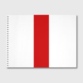 Альбом для рисования с принтом Флаг Беларуси в Белгороде, 100% бумага
 | матовая бумага, плотность 200 мг. | belarus | беларусь | белоруссия | брест | гомель | гродно | минск