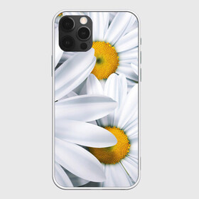 Чехол для iPhone 12 Pro Max с принтом Большие ромашки в Белгороде, Силикон |  | Тематика изображения на принте: 3301 | 4800 | dpi | большие | весна | лето | осень | ромашки