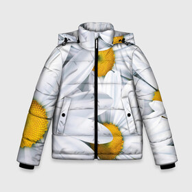 Зимняя куртка для мальчиков 3D с принтом Большие ромашки в Белгороде, ткань верха — 100% полиэстер; подклад — 100% полиэстер, утеплитель — 100% полиэстер | длина ниже бедра, удлиненная спинка, воротник стойка и отстегивающийся капюшон. Есть боковые карманы с листочкой на кнопках, утяжки по низу изделия и внутренний карман на молнии. 

Предусмотрены светоотражающий принт на спинке, радужный светоотражающий элемент на пуллере молнии и на резинке для утяжки | Тематика изображения на принте: 3301 | 4800 | dpi | большие | весна | лето | осень | ромашки