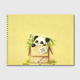 Альбом для рисования с принтом Заказывали Панду? ? в Белгороде, 100% бумага
 | матовая бумага, плотность 200 мг. | order | panda | заказ | заказывали панду | панда | панда в коробке