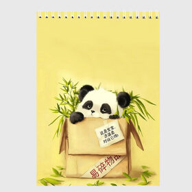 Скетчбук с принтом Заказывали Панду? ? в Белгороде, 100% бумага
 | 48 листов, плотность листов — 100 г/м2, плотность картонной обложки — 250 г/м2. Листы скреплены сверху удобной пружинной спиралью | order | panda | заказ | заказывали панду | панда | панда в коробке