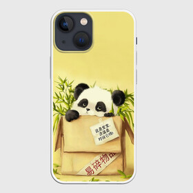 Чехол для iPhone 13 mini с принтом Заказывали Панду в Белгороде,  |  | Тематика изображения на принте: order | panda | заказ | заказывали панду | панда | панда в коробке