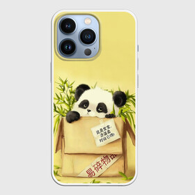 Чехол для iPhone 13 Pro с принтом Заказывали Панду в Белгороде,  |  | order | panda | заказ | заказывали панду | панда | панда в коробке