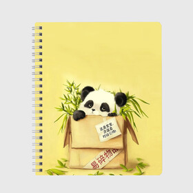 Тетрадь с принтом Заказывали Панду? ? в Белгороде, 100% бумага | 48 листов, плотность листов — 60 г/м2, плотность картонной обложки — 250 г/м2. Листы скреплены сбоку удобной пружинной спиралью. Уголки страниц и обложки скругленные. Цвет линий — светло-серый
 | order | panda | заказ | заказывали панду | панда | панда в коробке