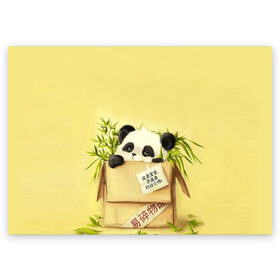 Поздравительная открытка с принтом Заказывали Панду? ? в Белгороде, 100% бумага | плотность бумаги 280 г/м2, матовая, на обратной стороне линовка и место для марки
 | order | panda | заказ | заказывали панду | панда | панда в коробке