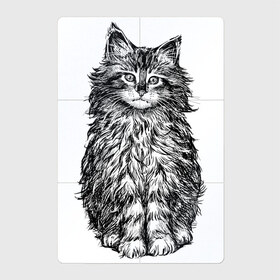 Магнитный плакат 2Х3 с принтом Пушистый котенок в Белгороде, Полимерный материал с магнитным слоем | 6 деталей размером 9*9 см | Тематика изображения на принте: белый котенок | кот | котенок | коты | котята | кошечка | кошка | кошки | милые котята | милый котенок | няшки | пушистый котенок