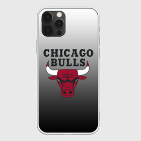 Чехол для iPhone 12 Pro Max с принтом JORDAN CHICAGO BULLS в Белгороде, Силикон |  | basketball | jordan | michael | michael jordan | баскетбол | джордан | майкл | стиль