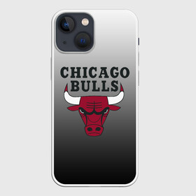 Чехол для iPhone 13 mini с принтом JORDAN   CHICAGO BULLS в Белгороде,  |  | basketball | jordan | michael | michael jordan | баскетбол | джордан | майкл | стиль