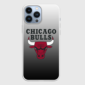 Чехол для iPhone 13 Pro Max с принтом JORDAN   CHICAGO BULLS в Белгороде,  |  | basketball | jordan | michael | michael jordan | баскетбол | джордан | майкл | стиль