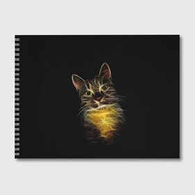 Альбом для рисования с принтом Дымчато-световой кот в Белгороде, 100% бумага
 | матовая бумага, плотность 200 мг. | Тематика изображения на принте: арт | дым | желтый | кот | кошка | кривые | рисунок | свет | серый | тёмный | чёрный | яркие линии