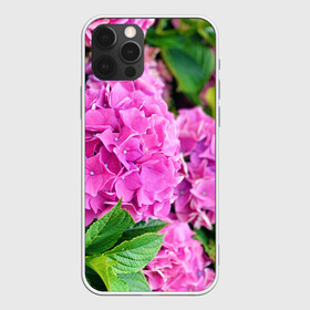 Чехол для iPhone 12 Pro Max с принтом Гортензия в Белгороде, Силикон |  | blooming. | floral | flower | hydrangea | nature | ботаника | букет | бутон | гортензия | клумба | лепесток | лето | листья | сад | цветение | цветок | цветы