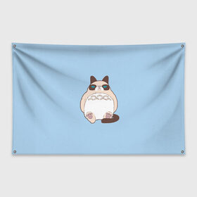 Флаг-баннер с принтом Тоторный кот в Белгороде, 100% полиэстер | размер 67 х 109 см, плотность ткани — 95 г/м2; по краям флага есть четыре люверса для крепления | grumpy cat | белый | кот тоторо | кот. недовольный кот | крем | мило | милота | мимишка | тоторо