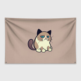 Флаг-баннер с принтом Великий Grumpy Cat в Белгороде, 100% полиэстер | размер 67 х 109 см, плотность ткани — 95 г/м2; по краям флага есть четыре люверса для крепления | grumpy cat | арт | кот | кот grumpy cat | котёнок | кошка | недовольный кот | рисунок