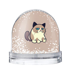 Снежный шар с принтом Великий Grumpy Cat в Белгороде, Пластик | Изображение внутри шара печатается на глянцевой фотобумаге с двух сторон | grumpy cat | арт | кот | кот grumpy cat | котёнок | кошка | недовольный кот | рисунок