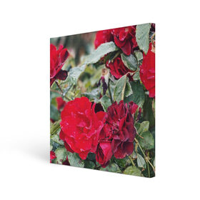 Холст квадратный с принтом Red Roses в Белгороде, 100% ПВХ |  | bush | floral | flower | garden | green | nature | red roses | бутоны | красная роза | куст | листья | природа | роза | сад | цветение | цветок | цветы