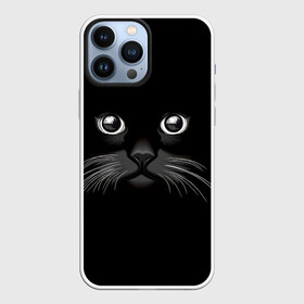 Чехол для iPhone 13 Pro Max с принтом Кошачья моська в Белгороде,  |  | Тематика изображения на принте: арт | вектор | кот | котёнок | кошка | рисунок | черная кошка | чёрный | черный кот | черный котенок