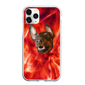 Чехол для iPhone 11 Pro матовый с принтом Огненый Пес в Белгороде, Силикон |  | голова | горячий | горящий | доберман | животное | зверек | зверь | зубы | клык | красный | лицо | овчарка | огонь | пес | пламя | рот | ротвейлер | свет | собака | удивленный | улыбка | щенок