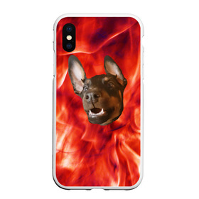 Чехол для iPhone XS Max матовый с принтом Огненый Пес в Белгороде, Силикон | Область печати: задняя сторона чехла, без боковых панелей | голова | горячий | горящий | доберман | животное | зверек | зверь | зубы | клык | красный | лицо | овчарка | огонь | пес | пламя | рот | ротвейлер | свет | собака | удивленный | улыбка | щенок