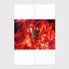 Магнитный плакат 2Х3 с принтом Огненый Пес в Белгороде, Полимерный материал с магнитным слоем | 6 деталей размером 9*9 см | голова | горячий | горящий | доберман | животное | зверек | зверь | зубы | клык | красный | лицо | овчарка | огонь | пес | пламя | рот | ротвейлер | свет | собака | удивленный | улыбка | щенок