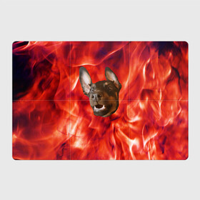 Магнитный плакат 3Х2 с принтом Огненый Пес в Белгороде, Полимерный материал с магнитным слоем | 6 деталей размером 9*9 см | голова | горячий | горящий | доберман | животное | зверек | зверь | зубы | клык | красный | лицо | овчарка | огонь | пес | пламя | рот | ротвейлер | свет | собака | удивленный | улыбка | щенок