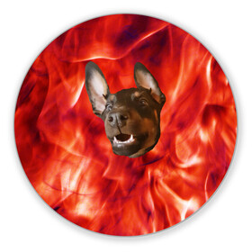 Коврик для мышки круглый с принтом Огненый Пес в Белгороде, резина и полиэстер | круглая форма, изображение наносится на всю лицевую часть | голова | горячий | горящий | доберман | животное | зверек | зверь | зубы | клык | красный | лицо | овчарка | огонь | пес | пламя | рот | ротвейлер | свет | собака | удивленный | улыбка | щенок