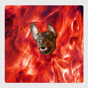 Магнитный плакат 3Х3 с принтом Огненый Пес в Белгороде, Полимерный материал с магнитным слоем | 9 деталей размером 9*9 см | голова | горячий | горящий | доберман | животное | зверек | зверь | зубы | клык | красный | лицо | овчарка | огонь | пес | пламя | рот | ротвейлер | свет | собака | удивленный | улыбка | щенок