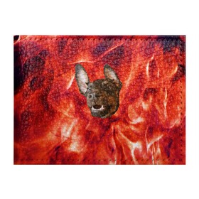 Обложка для студенческого билета с принтом Огненый Пес в Белгороде, натуральная кожа | Размер: 11*8 см; Печать на всей внешней стороне | голова | горячий | горящий | доберман | животное | зверек | зверь | зубы | клык | красный | лицо | овчарка | огонь | пес | пламя | рот | ротвейлер | свет | собака | удивленный | улыбка | щенок
