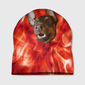 Шапка 3D с принтом Огненый Пес в Белгороде, 100% полиэстер | универсальный размер, печать по всей поверхности изделия | голова | горячий | горящий | доберман | животное | зверек | зверь | зубы | клык | красный | лицо | овчарка | огонь | пес | пламя | рот | ротвейлер | свет | собака | удивленный | улыбка | щенок