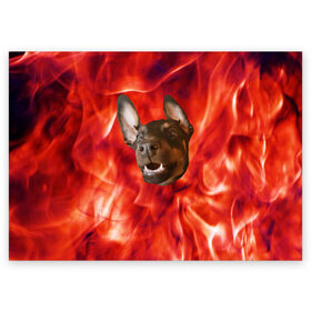 Поздравительная открытка с принтом Огненый Пес в Белгороде, 100% бумага | плотность бумаги 280 г/м2, матовая, на обратной стороне линовка и место для марки
 | голова | горячий | горящий | доберман | животное | зверек | зверь | зубы | клык | красный | лицо | овчарка | огонь | пес | пламя | рот | ротвейлер | свет | собака | удивленный | улыбка | щенок