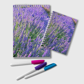 Блокнот с принтом Lavender field в Белгороде, 100% бумага | 48 листов, плотность листов — 60 г/м2, плотность картонной обложки — 250 г/м2. Листы скреплены удобной пружинной спиралью. Цвет линий — светло-серый
 | Тематика изображения на принте: field | green | lavender | nature | summer | violet | бутон | клумба. | лаванда | лето | лиловый | поле | сиреневый | фиолетовый | цветение | цветок | цветы