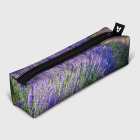 Пенал 3D с принтом Lavender field в Белгороде, 100% полиэстер | плотная ткань, застежка на молнии | Тематика изображения на принте: field | green | lavender | nature | summer | violet | бутон | клумба. | лаванда | лето | лиловый | поле | сиреневый | фиолетовый | цветение | цветок | цветы