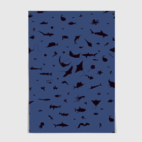 Постер с принтом Manta в Белгороде, 100% бумага
 | бумага, плотность 150 мг. Матовая, но за счет высокого коэффициента гладкости имеет небольшой блеск и дает на свету блики, но в отличии от глянцевой бумаги не покрыта лаком | dolphin | fish | killer whale | manta | see life | shark | акула | дельфин | касатка | морские обитатели | рыба