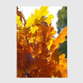 Постер с принтом Букет из осенних листьев в Белгороде, 100% бумага
 | бумага, плотность 150 мг. Матовая, но за счет высокого коэффициента гладкости имеет небольшой блеск и дает на свету блики, но в отличии от глянцевой бумаги не покрыта лаком | бабье лето | золотая осень | листья желтые | листья осенние | сентябрь | третье сентября